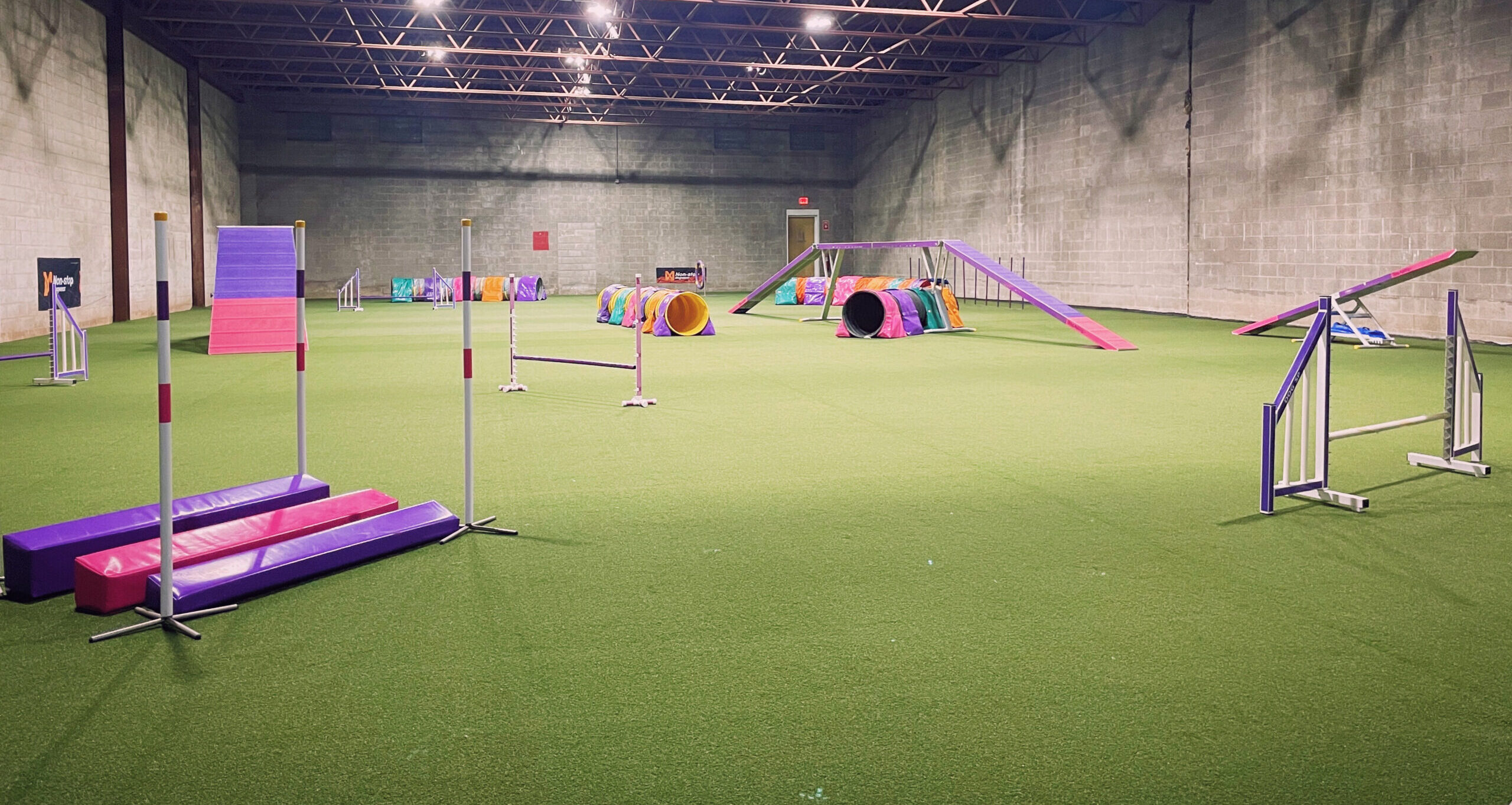 Indoor dog agility training 2024 center